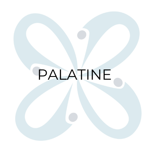 Palatine Fall 1 2023 Schedule 